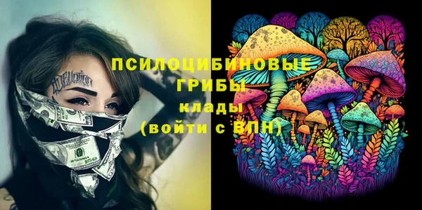 гидропоника Каменногорск