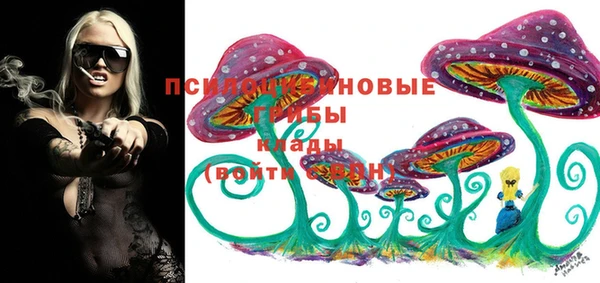 ешки Каменск-Шахтинский