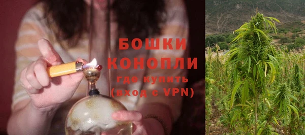 гидропоника Каменногорск